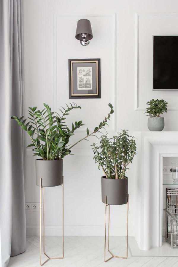 ורוצלב Luksusowy Apartament Hercena7 W Sercu Miasta מראה חיצוני תמונה